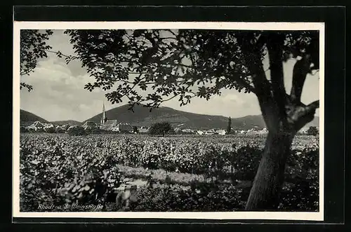 AK Rhodt a. d. Weinstrasse, Panorama des Ortes