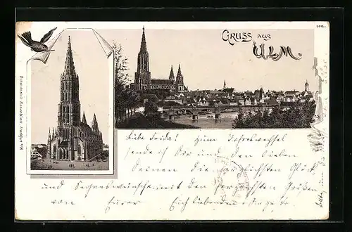 Lithographie Ulm, Panorama mit Münster