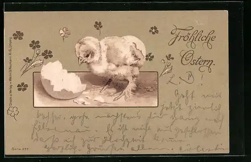 AK Fröhliche Ostern, Osterküken schlüpft aus dem Ei