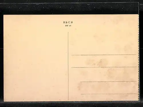 AK Mitau, Markt aus der Vogelschau