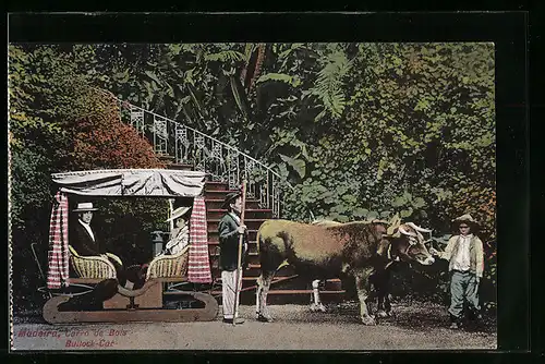 AK Madeira, Carra de Bois