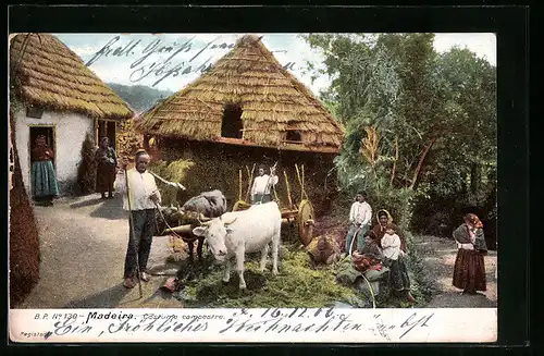 AK Madeira, Costume e campestre
