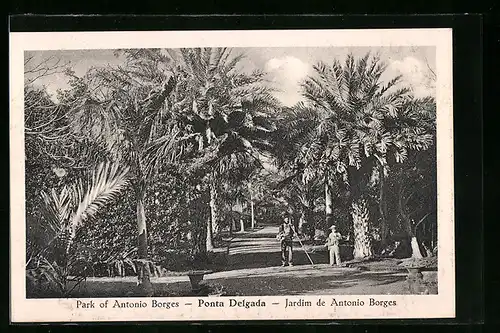 AK Ponta Delgada, Jardim de Antonio Borges, Park of Antonio Borges