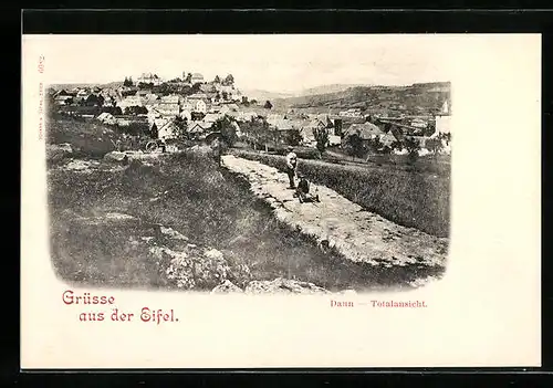 AK Daun /Eifel, Totalansicht