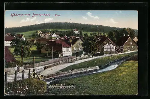 AK Buntenbock /Harz, Ortspartie mit Bachlauf