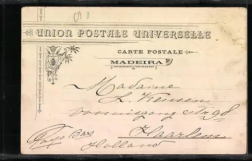 AK Funchal, Entrada da Cidade