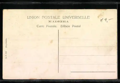 AK Funchal /Madeira, Carro de bois