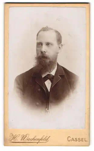 Fotografie H. Wachenfeld, Cassel, Quer-Allee 39 1 /2, Portrait stattlicher Mann mit Vollbart