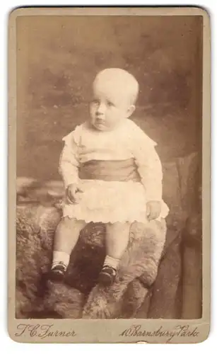 Fotografie J. C. Turner, London, 10 Barnsbury Park, Portrait süsses Kleinkind im Kleidchen auf Fell sitzend