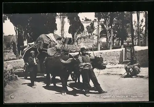 AK Constantinople, Chariot Turc