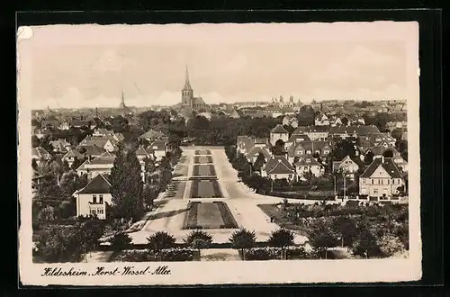 AK Hildesheim, Teilansicht mit Horst-Wessel-Allee