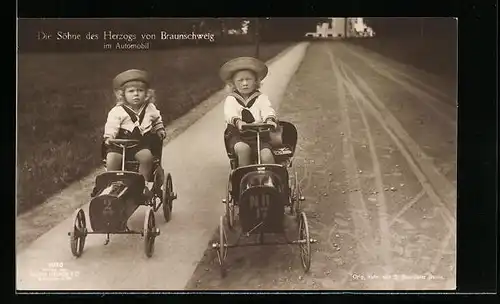 AK Die Söhne des Herzogs von Braunschweig im Spielzeugautomobil
