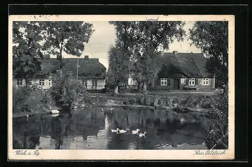 AK Wiek / Rügen, am Ortsteich