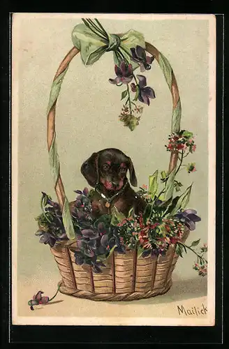 Künstler-AK Alfred Mailick: niedlicher Dackel sitzt in einem Blumenkorb
