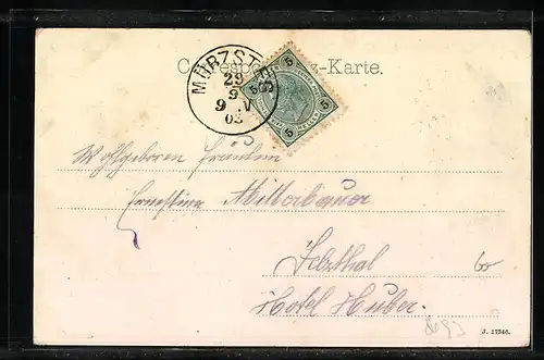 AK Mürzsteg, Ortsansicht mit Gasthof zur hohen Veitsch