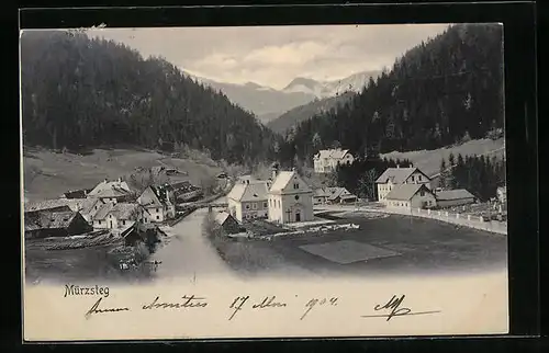AK Mürzsteg, Teilansicht mit Flussbrücke