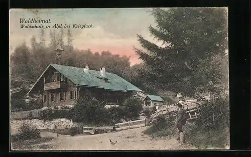 AK Alpl bei Krieglach, Waldschule im Abendrot