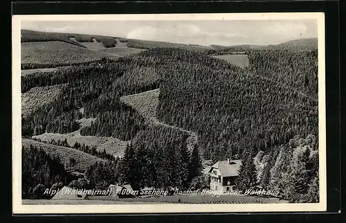 AK Alpl, Gasthof Burggraber Waldhaus aus der Vogelschau