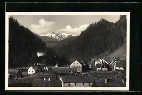 AK Krampen a. d. Mürz, Teilansicht mit Bergen