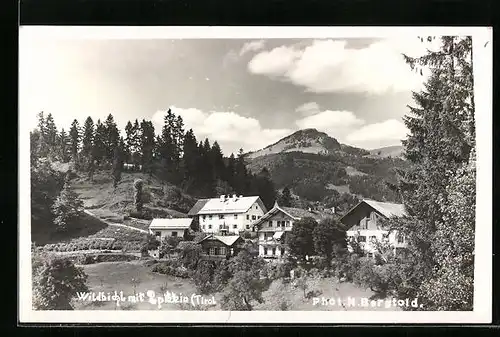 AK Wildbichl, Ortsansicht mit Berg