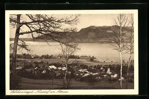 AK Nussdorf am Attersee, Salzkammergut, Teilansicht