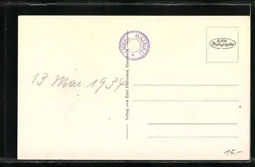 AK Insel Mainau (Bodensee), Palmenhain