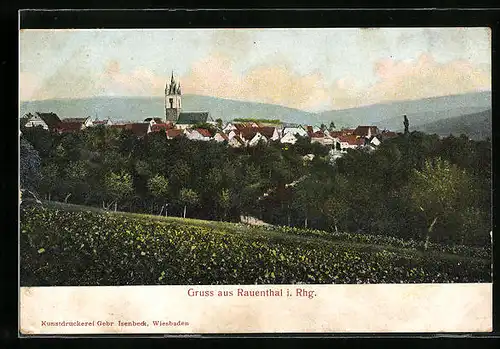 AK Rauenthal i. Rhg., Ortsansicht von einer Anhöhe aus