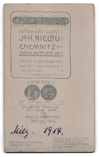 Fotografie Joh. Niclou, Chemnitz, Carolastr. 6, Portrait dunkelhaarige Schänheit mit Stickerei am Blusenkragen