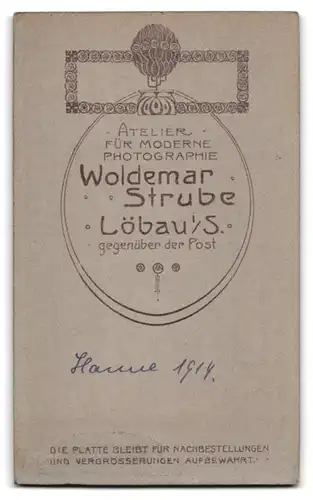 Fotografie Atelier Strube, Löbau i. S., brünettes Fräulein mit Stickerei am Kleid