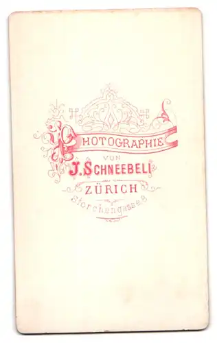 Fotografie J. Schneebeli, Zürich, Storchengasse 8, Portrait brünette Schönheit mit Flechtdutt