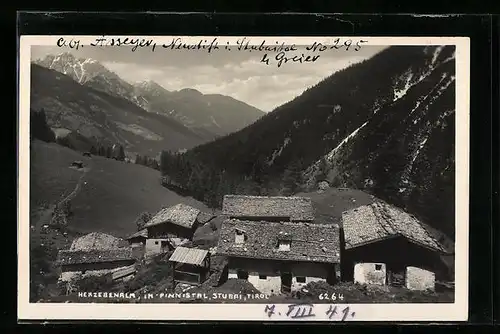 AK Neustift /Stubai, Herzebenalm im Pinnistal