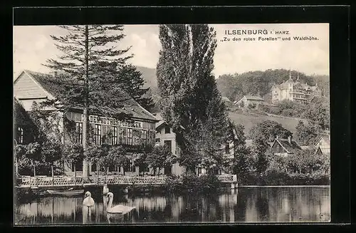 AK Ilsenburg i. Harz, Landhaus Zu den Rothen Forellen und Waldhöhe
