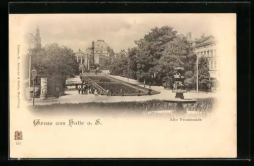 AK Halle /Saale, Alte Promenade