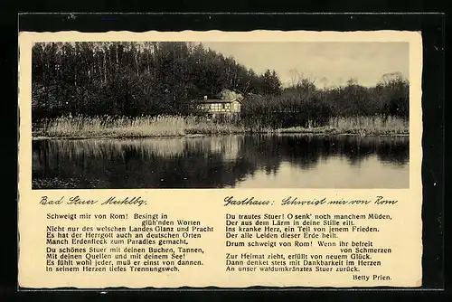 AK Bad Stuer i. Mecklenburg, Blick zum Gasthaus Schweigt mir von Rom mit Spruch