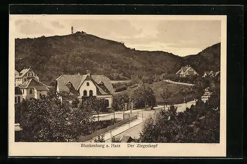 AK Blankenburg am Harz, Der Ziegenkopf