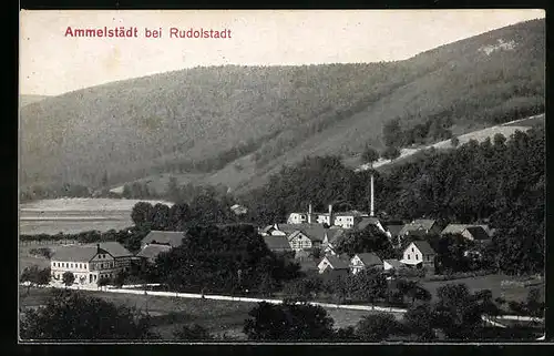 AK Ammelstädt bei Rudolstadt, Gesamtansicht