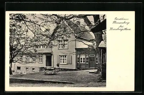 AK Ilsenburg / Harz, Forsthaus Plessenburg