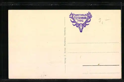AK Ilsenburg / Harz, Forsthaus Plessenburg