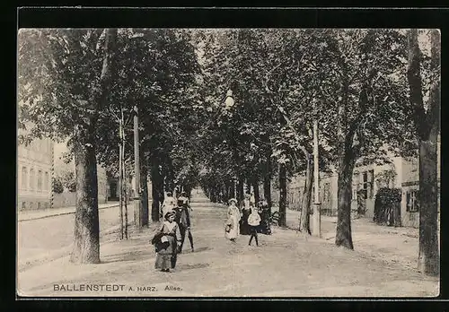 AK Ballenstedt a. Harz, Allee mit Spaziergängern