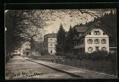 AK Rippoldsau, Ortspartie mit Häusern