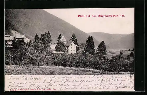 AK Neckargemünd, Blick auf den Kümmelbacher Hof