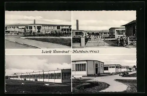 AK Hassloch /Pfalz, Werk Rosenthal in vier Ansichten