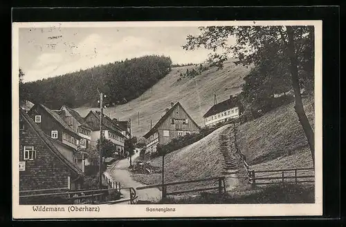 AK Wildemann, Partie am Sonnenglanz