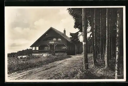 Foto-AK Königsfeld i. Schwarzwald, Ansicht vom Kaffee Albblick