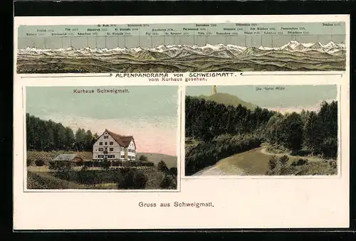AK Schweigmatt, Kurhaus Schweigmatt, Alpenpanorama, Die Hohe Möhr