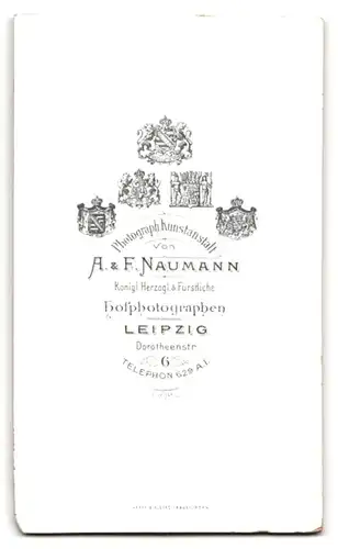 Fotografie A. & F. Naumann, Leipzig, Dorotheenstr. 6, Gutbürgerliche Dame mit Flechtfrisur