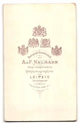 Fotografie A. & F. Naumann, Leipzig, Dorotheenstr. 6, Gutbürgerliche Dame mit Dutt