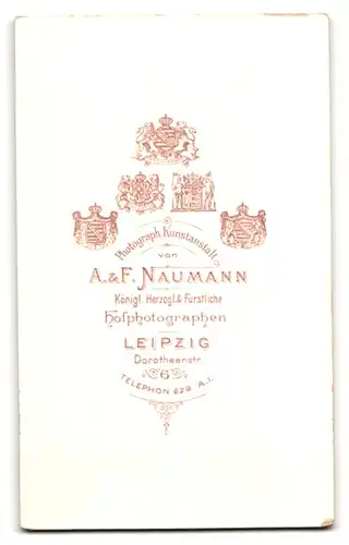 Fotografie A. & F. Naumann, Leipzig, Dorotheenstr. 6, Gutbürgerliche Frau mit Dutt