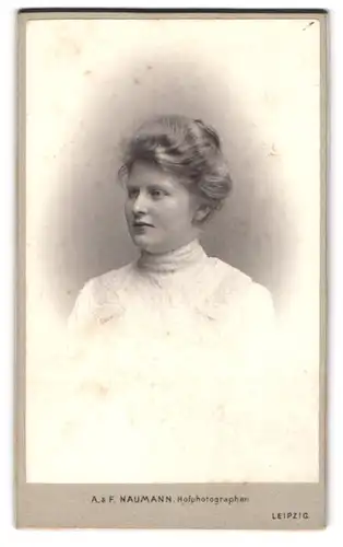 Fotografie A. & F. Naumann, Leipzig, Dorotheenstr. 6, Gutbürgerliche Dame mit Hochsteckfrisur