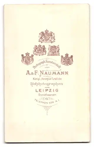 Fotografie A. & F. Naumann, Leipzig, Dorotheenstr. 6, Gutbürgerliche Dame im hellen Kleid